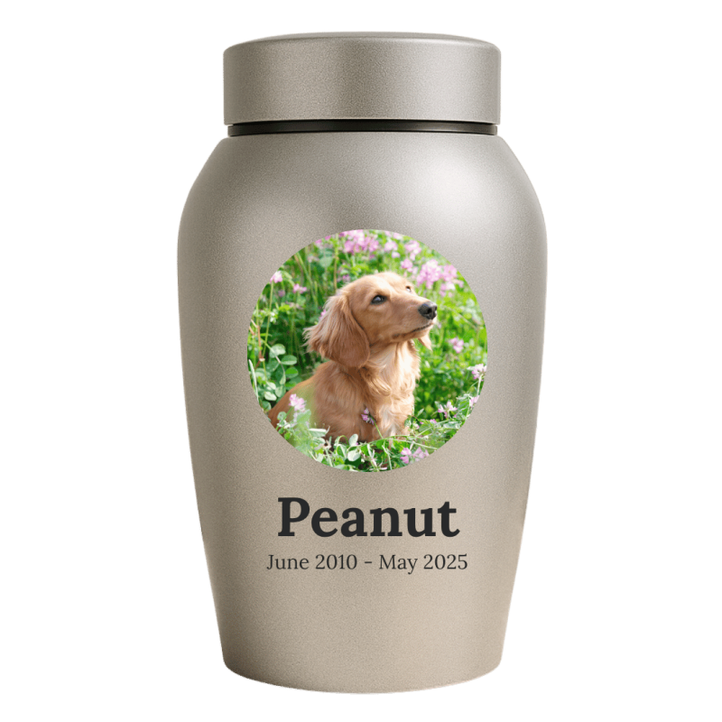 Personalised Dog Urn with Photo in a Heartfelt Halo Frame – Engraved Stainless Steel Memorial Urn with Name & Dates