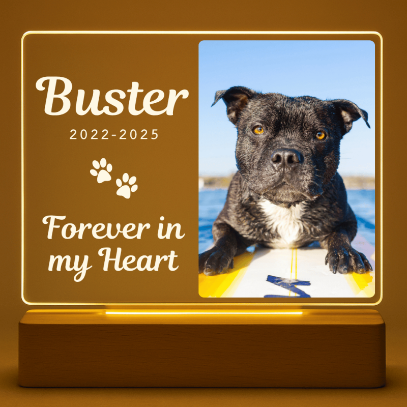 Personalised Dog Memorial Light with Photo – Rectangular Landscape LED Pet Tribute Lamp with Engraved Name & Dates on Acrylic Pl