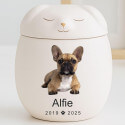 Personalised Ceramic Dog Urn with Sleeping Pet Lid – Pet Cremation Urn for Ashes with Dog's Photo, Name & Dates